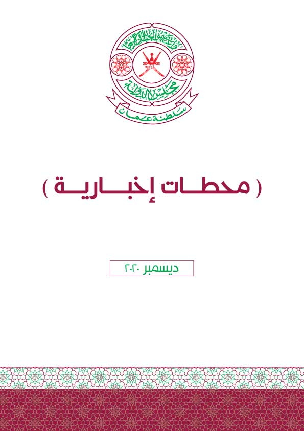 محطات إخبارية